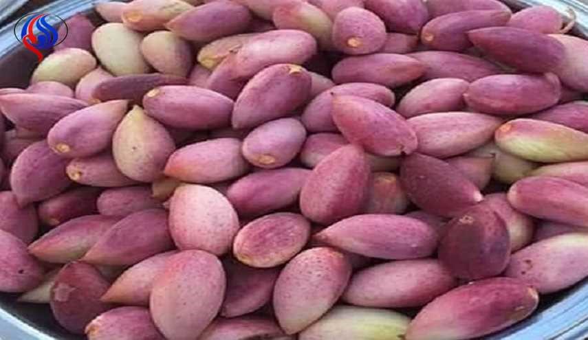 عاشوري مال حلب..ما الذي تعرفونه عنه ؟