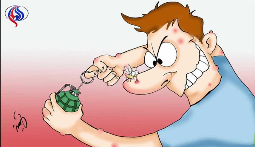 6 أسباب تجذب البعوض إليك كالمغناطيس.. فاحذر