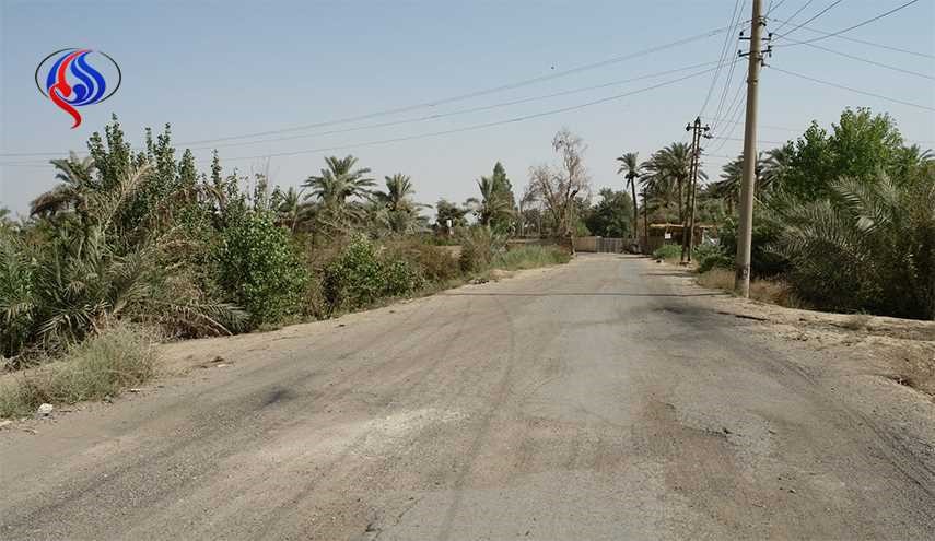 الجيش يعتقل 8 عناصر محتملين لـ