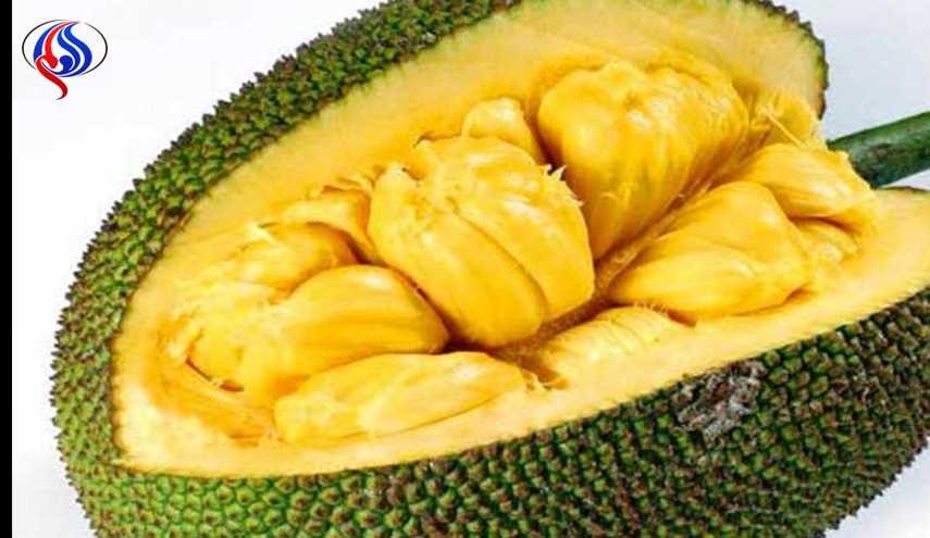 تعرّف على أغرب 10 أنواع من الفاكهة في العالم !