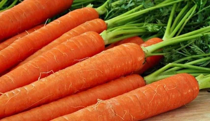 الجزر ليس كافياً.. اليكم أطعمة أخرى لتقوية النظر!