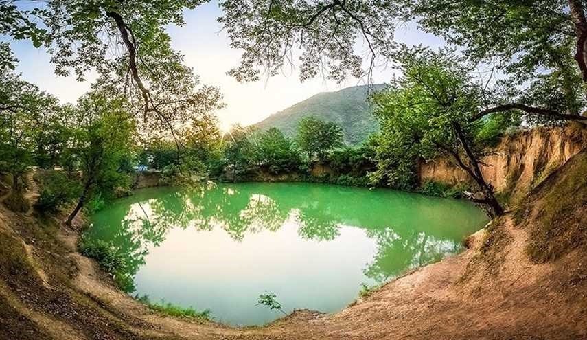 الطبيعة بغابة 