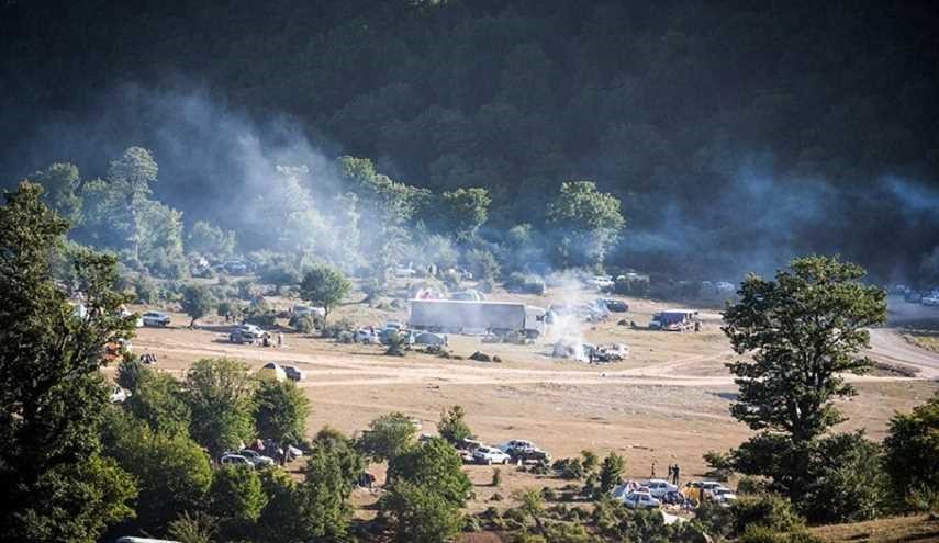 الطبيعة الصيفية في غابة 