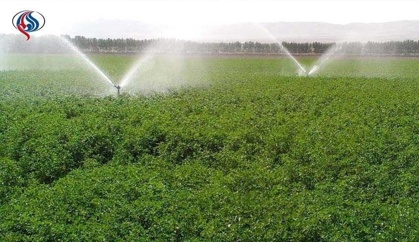 زيادة مشاريع الري الحديثة في إيران بنسة 148% خلال العام الجاري