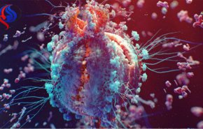 احیای ویروسی منقرض شده با استفاده از DNA
