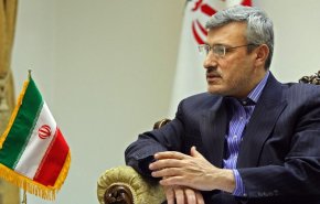 بعیدی نژاد:حفظ برجام درگرو تعهد تمامی اعضا برای تحقق کامل مفاد آن است
