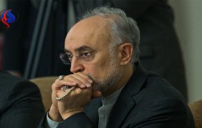 صالحی: جلسه هیات نظارت بر برجام عصر امروز در محل شورایعالی امنیت ملی برگزار می‌شود/ در گردنه ترامپیسم قرار داریم
