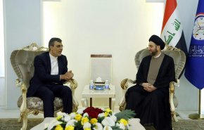 رایزنی جابری‌انصاری و عمار حکیم در بغداد
