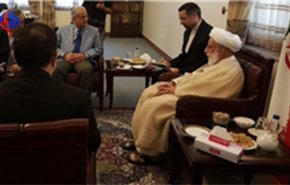 دیدار رئیس مجلس سنای پاکستان با آیت‌الله جنتی