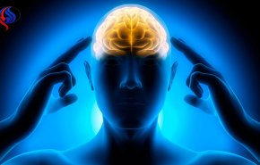یک آزمایش ساده برای ارزیابی قدرت بینایی و تمرکز شما +عکس