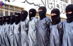 کشته شدن 14 عنصر 