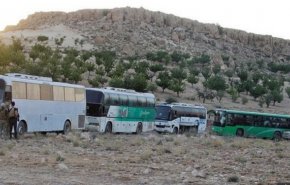 آغاز انتقال تروریست‌های سرایا الشام از عرسال به قلمون