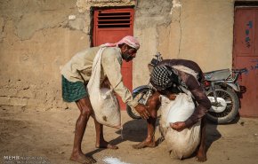 نشاء برنج در شهرستان کارون-تصاویر