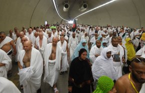 حجاج قطری هم وارد عربستان شدند