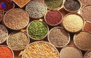هنگام خرید حبوبات دقت کنید!