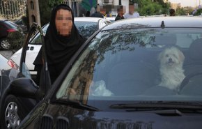 از گردش با سگ و گربه در شهر تا زوج‌هایی که حیوان را به جای بچه انتخاب کردند + فیلم