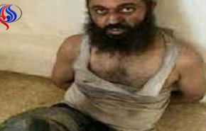 بازداشت امام جماعت صهیونیست مسجد مسلمانان!