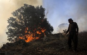 آتش سوزی در جنگلهای بلوط روستای کرآباد شهرستان سروآباد