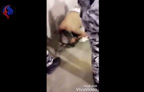 ویدیو.. فوت یک حاجی با لباس احرام و در حال سجده