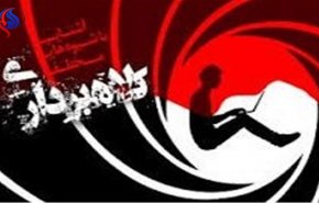 دام میلیاردی زن فریبکار برای مرد ثروتمند

