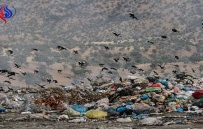 بمب میکروبی کرج در استانه انفجار!