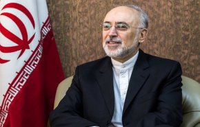 صالحی: اقدامات برای نظارت و امنیت عمومی نیروگاه بوشهر و تاسیسات هسته‌ای ایران انجام شده است