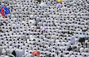  تعداد حجاج فوت شده ایرانی به ۱۴ نفر رسید