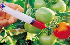 اما و اگرهای محصولات تراریخته