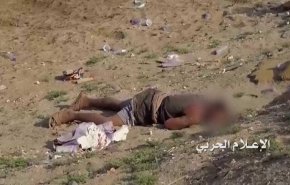 سه مزدور آل سعود کشته شدند