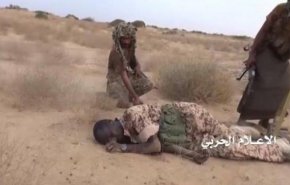 هلاکت شانزده مزدور عربستان به دست تک تیراندازهای یمنی

