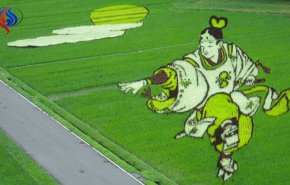 جذب هزاران توریست با ترکیب هنر و کشاورزی در ژاپن + تصاویر