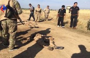 هلاکت ده ها مزدور سعودی درغرب تعز