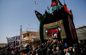 نخل گردانی در روستاهای زارچ و اشکذر