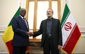 دیدار رئیس مجلس مالی با علی لاریجانی + تصاویر
