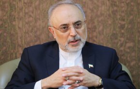 صالحی: اروپايی‌ها از واكنش ايران به نقض برجام بسيار نگرانند

