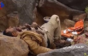 قنص ستة من مرتزقة العدوان في صرواح ونهم

