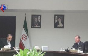 ولایتی: تهران آماده همکاری مشترک با پاریس در موضوعات مختلف است