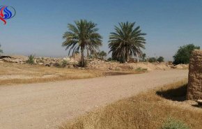 بالصور.. 