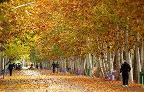 چرا باید در فصل پاییز پیاده روی کرد؟