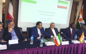 ظریف: برای ایران هیچ سقفی در روابط با نیجر وجود ندارد