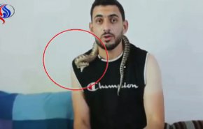 بالفيديو.. تعرض خبير أفاعي للدغة أفعى سامة على الهواء