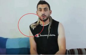 حمله هولناک افعی به یک کارشناس در برنامه زنده + فیلم 