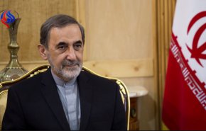ولایتی: ارتش سوریه و نیروهای متحد آن به‌زودی به سمت رقه پیشروی خواهند کرد