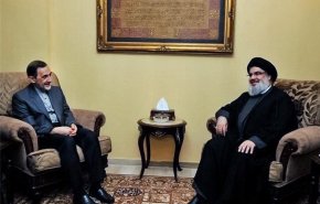 دیدار ولایتی با سیدحسن نصرالله 