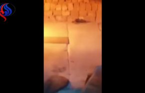 بالفيديو.. زبون يكتشف وجود فأرا ميتا بأحد المخابز.. وهذا رد فعل العامل!