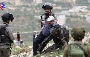 بازداشت 13 فلسطینی در کرانه باختری