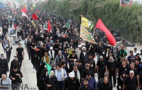 پیاده روی زائران اربعین از نجف به کربلا + تصاویر