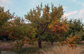 طبیعت پاییزی منطقه ارسباران