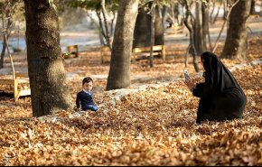 پاییز در مشهد