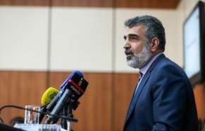 پیامی که جانسون در دیدار با صالحی دریافت کرد